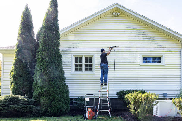 Best Gutter Cleaning and Brightening in George, IA